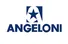 Angeloni Shipping logo