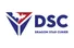 Dragon Star logo